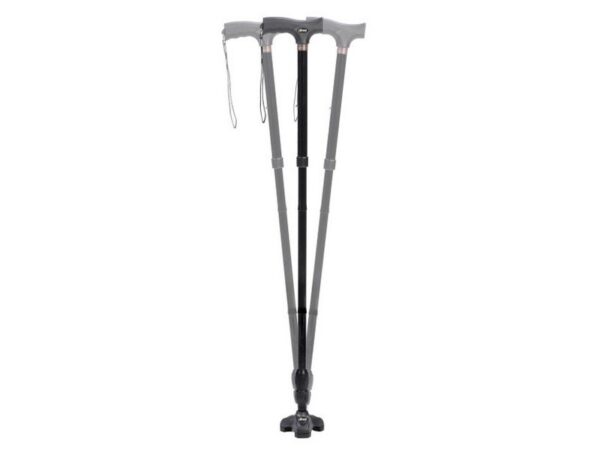 Flex N Go Cane