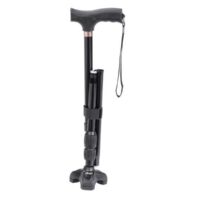 Flex N Go Cane